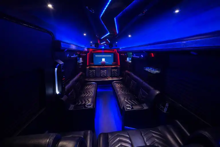 Mercedes Sprinter Limo Bus Interior